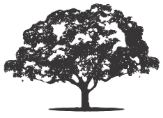 Valley Oak Security Logo